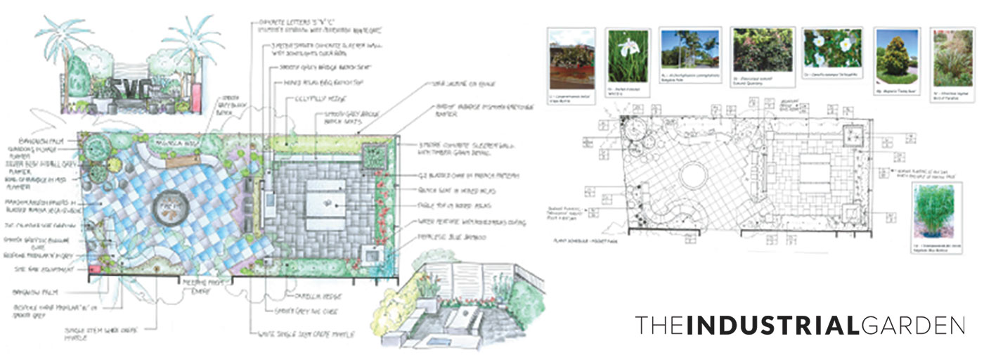 Ros Chatfield's design submission won the Best Use of Plants award.